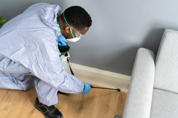 Best Residential Pest Control  in Roosevelt, UT